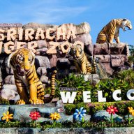 Tigertopiasrirachazoo