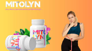 citalks.com
